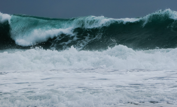 Fiori e preghiere per commemorare i corpi recuperati sulle coste della Sicilia e della Calabria